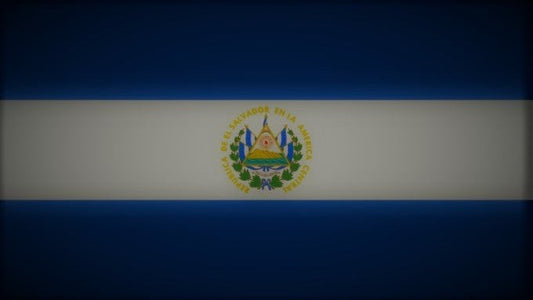 El Salvador Finca San Ernesto Free Sample